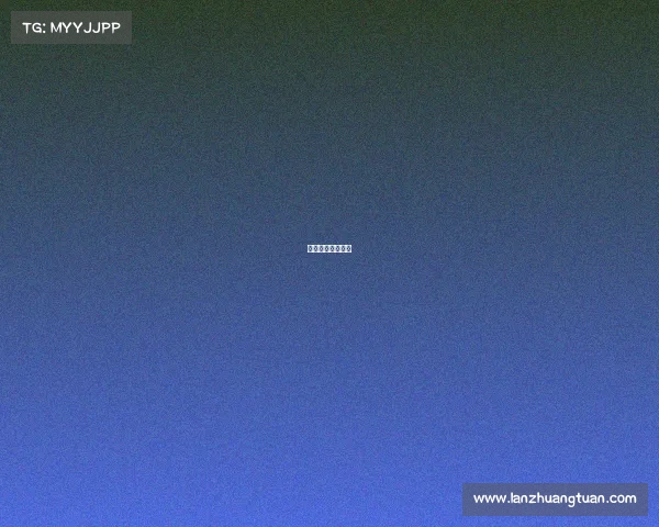 足球体育赛事鉴赏